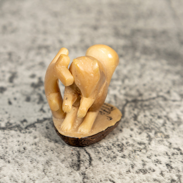 Vintage Natural White Squirrel Tagua Carving
