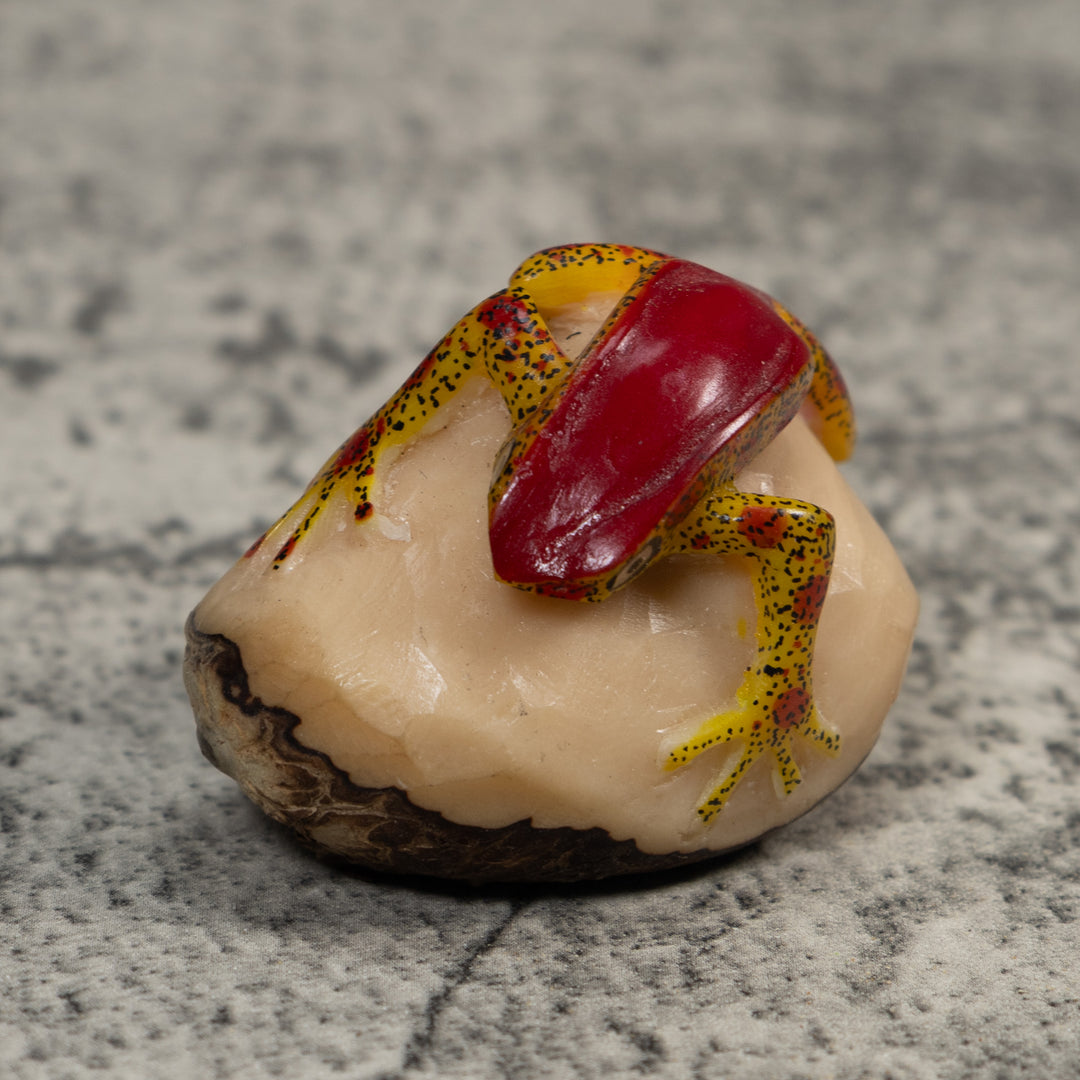 Red And Gold Poison Dart Frog Tagua Carving