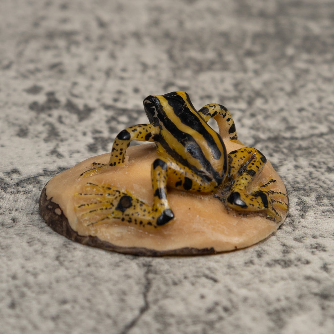 Vintage Black And Yellow Poison Dart Frog Tagua Carving