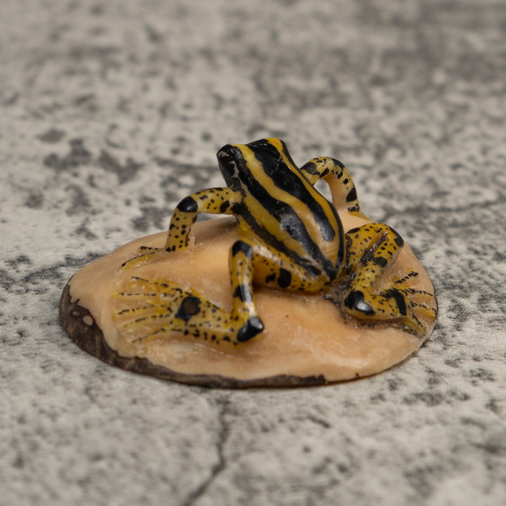Vintage Black And Yellow Poison Dart Frog Tagua Carving