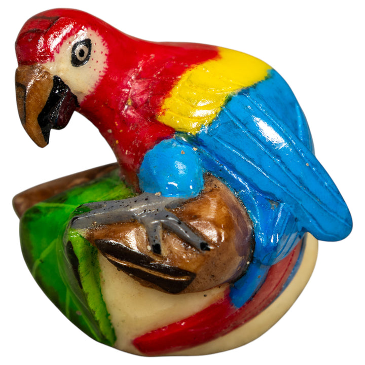 Macaw Parrot Bird Tagua Carving