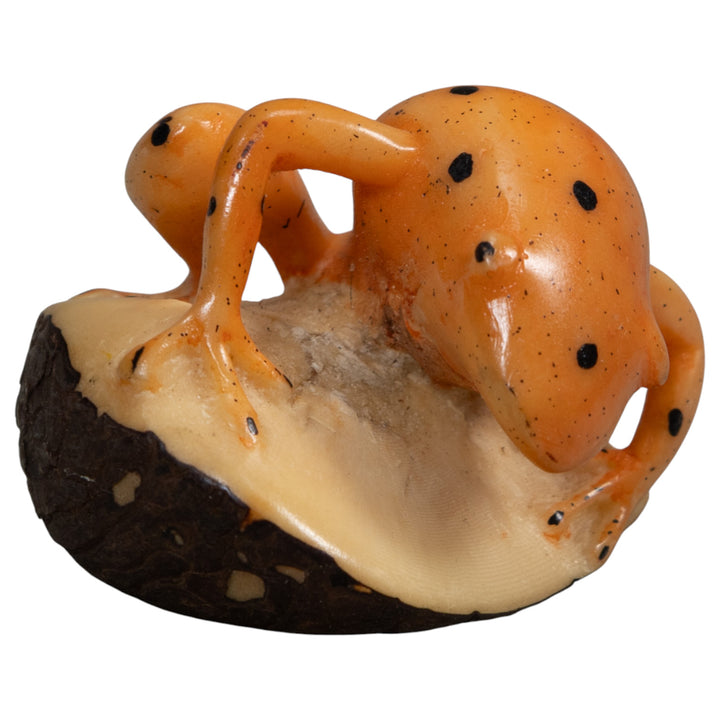 Vintage Gold And Black Jungle Frog Tagua Carving