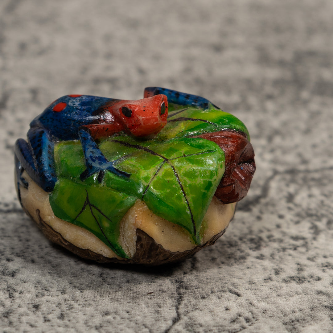 Red And Blue Poison Dart Frog Tagua Carving