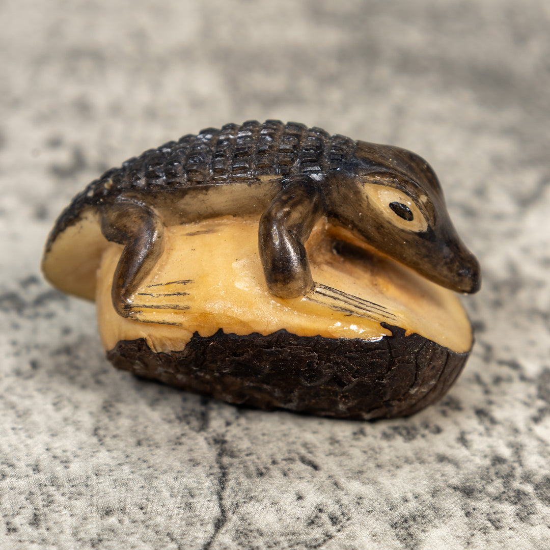 Alligator Crocodile Caiman Tagua Carving