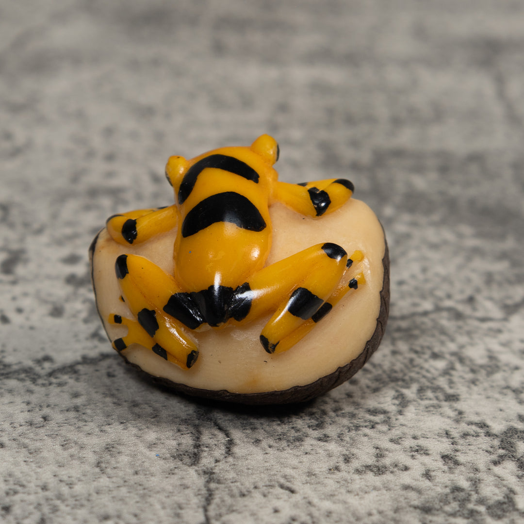 Gold and Black Frog Tagua Carving
