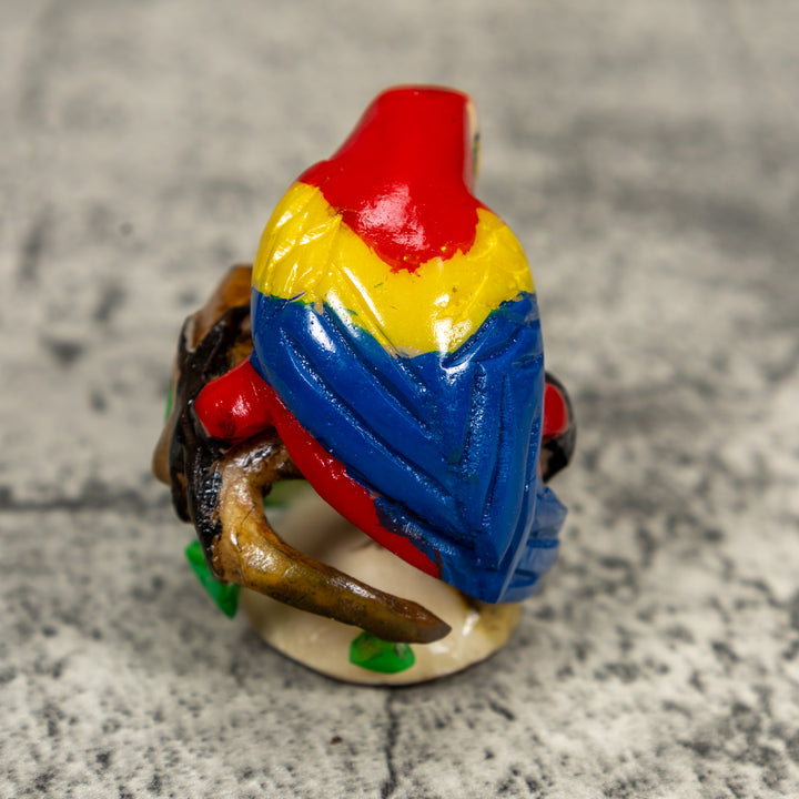 Red Yellow And Blue Macaw Parrot Bird Tagua Carving