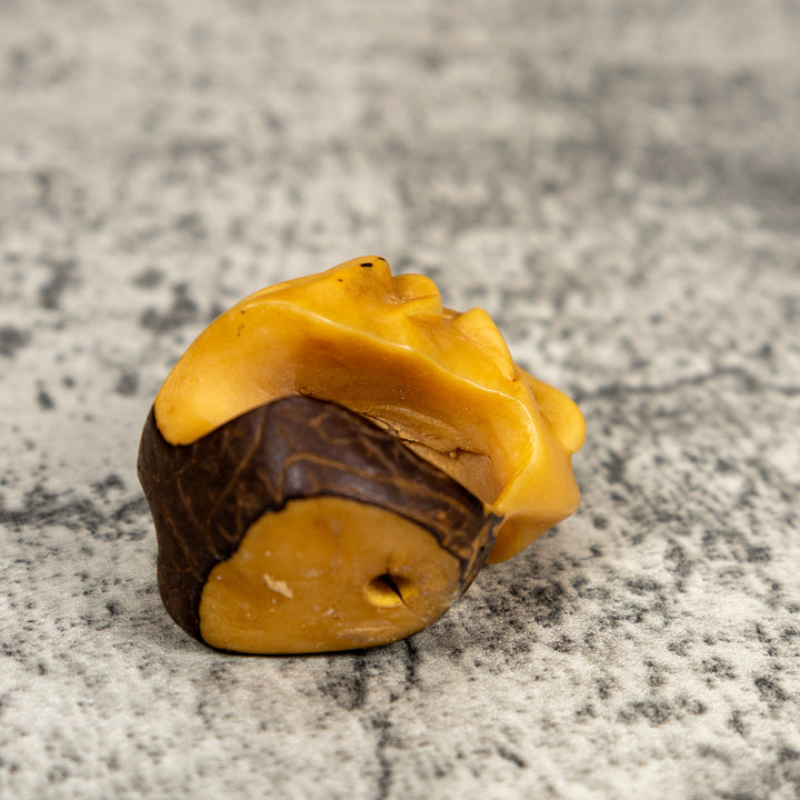 Natural White Insect Bug Tagua Carving