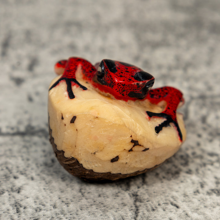 Red And Black Poison Dart Frog Tagua Carving