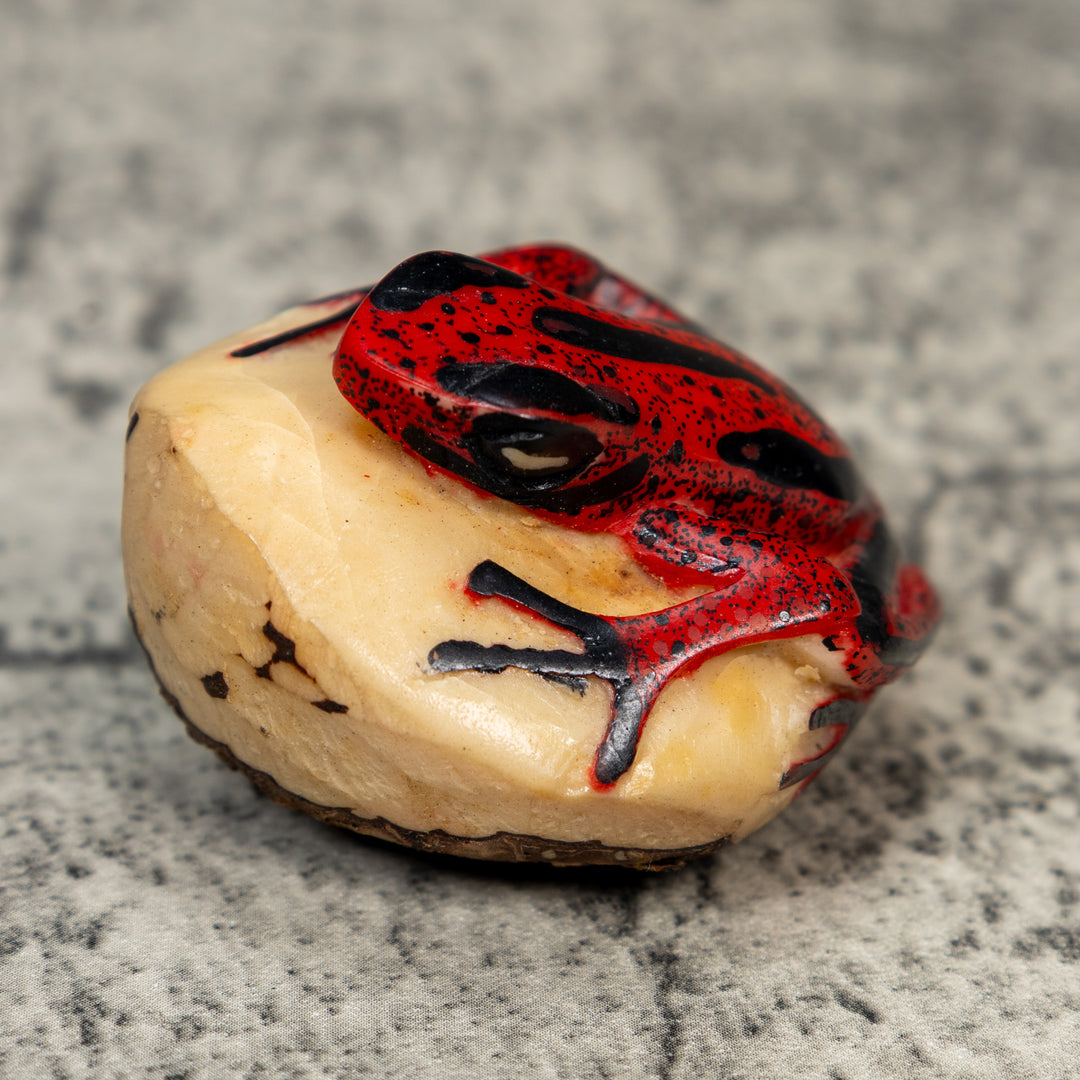 Red And Black Poison Dart Frog Tagua Carving