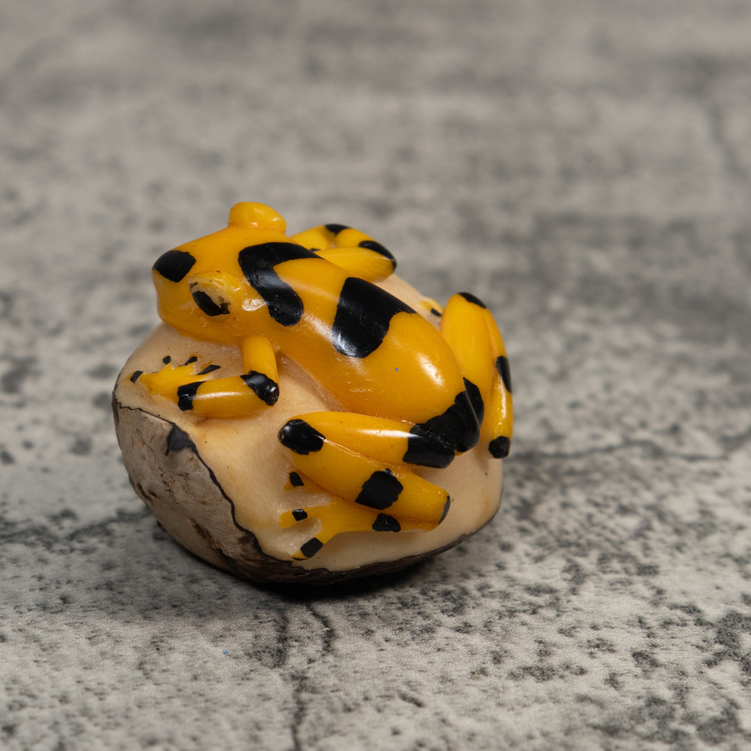 Gold and Black Frog Tagua Carving