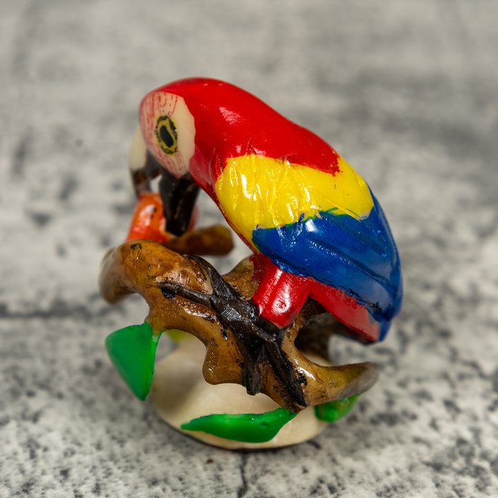 Red Yellow And Blue Macaw Parrot Bird Tagua Carving