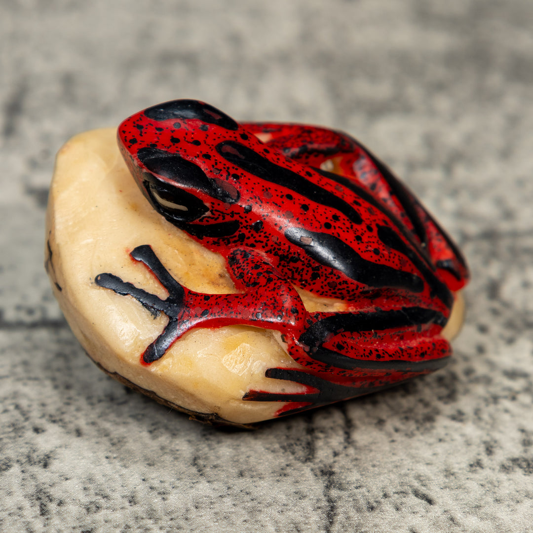 Red And Black Poison Dart Frog Tagua Carving