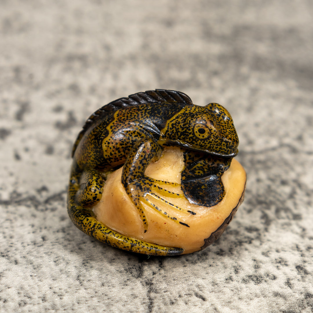 Brown And Black Iguana Lizard Tagua Carving