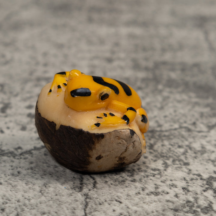 Gold and Black Frog Tagua Carving
