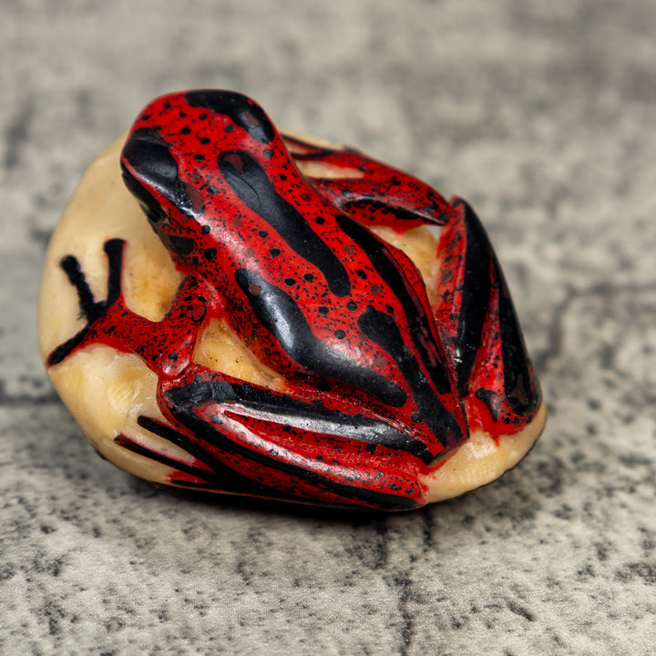 Red And Black Poison Dart Frog Tagua Carving