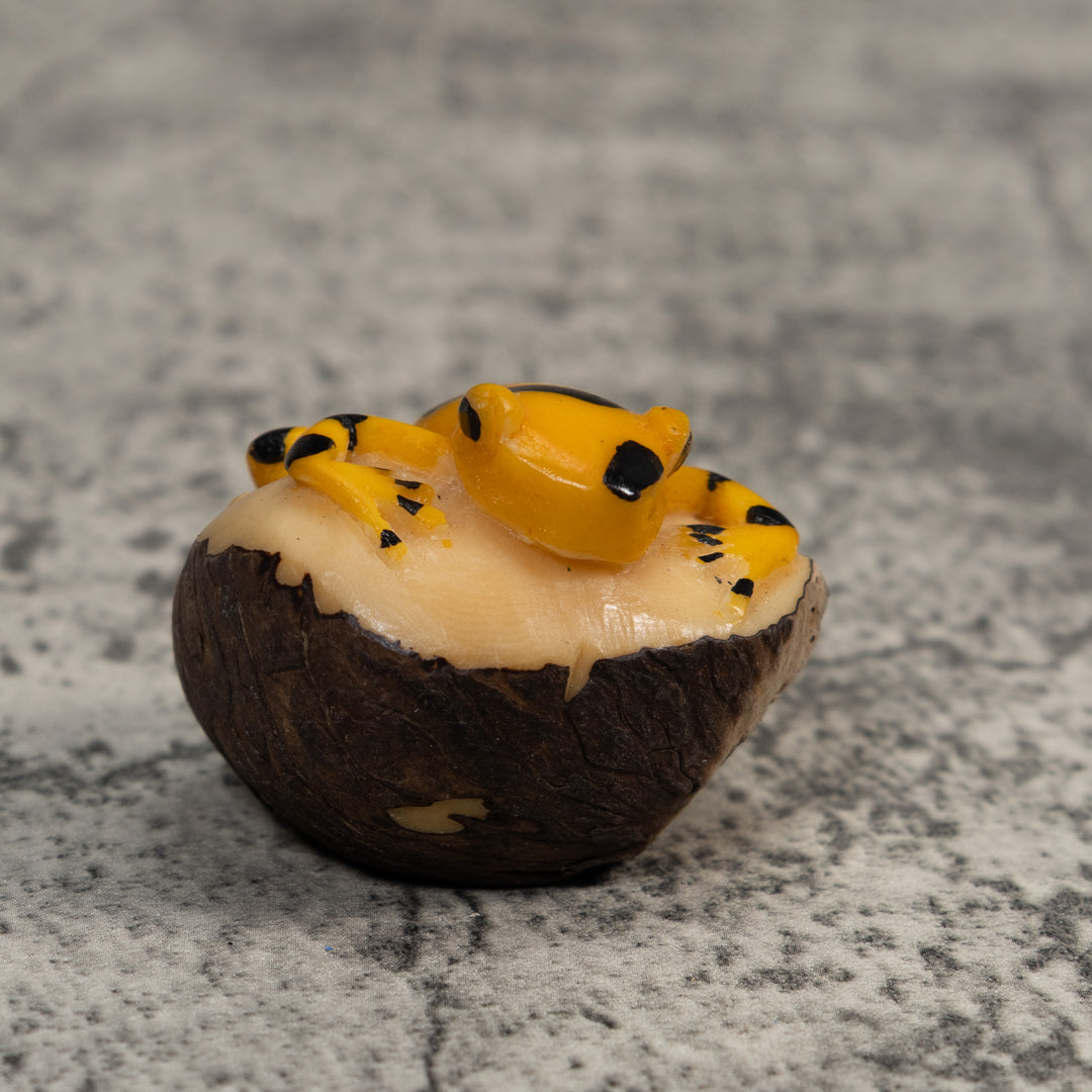 Gold and Black Frog Tagua Carving