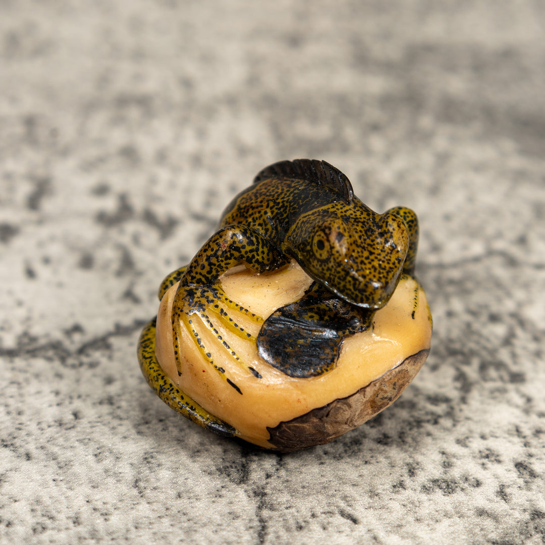 Brown And Black Iguana Lizard Tagua Carving