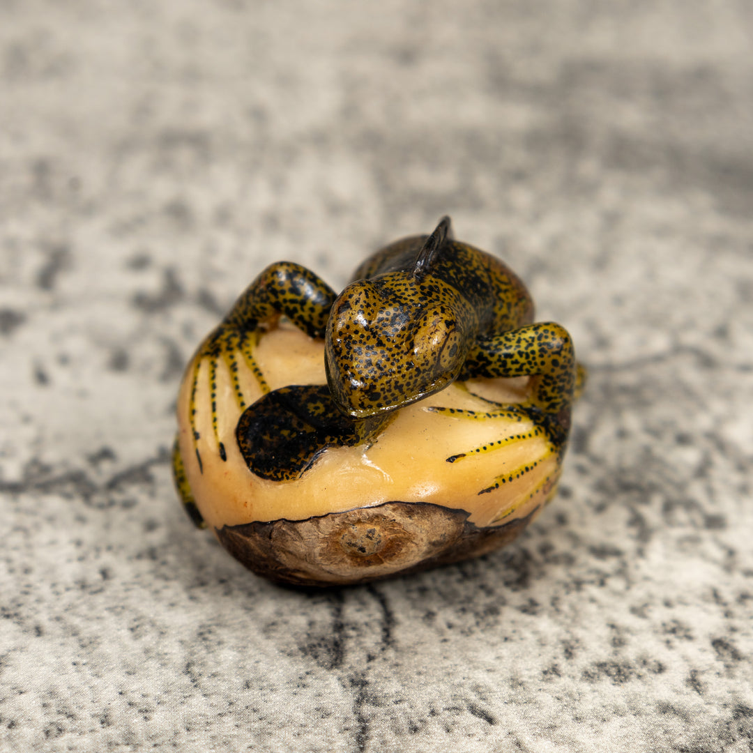 Brown And Black Iguana Lizard Tagua Carving