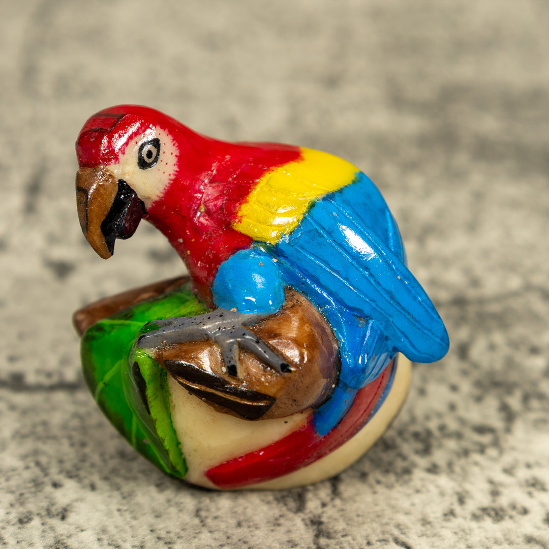 Macaw Parrot Bird Tagua Carving