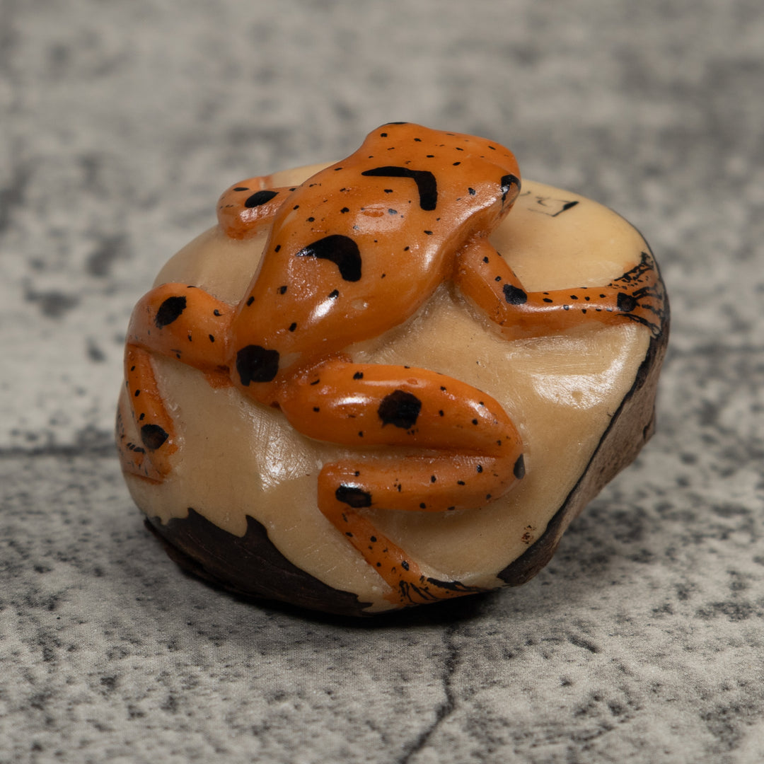 Vintage Poison Dart Frog Tagua Carving
