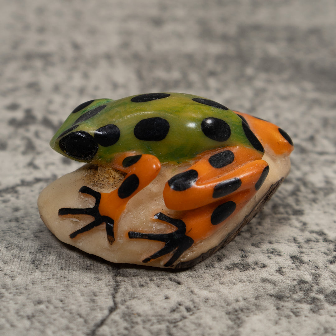 Orange Green And Black Poison Dart  Frog Tagua Carving