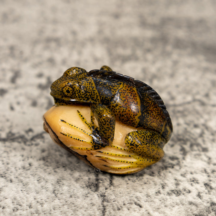 Brown And Black Iguana Lizard Tagua Carving