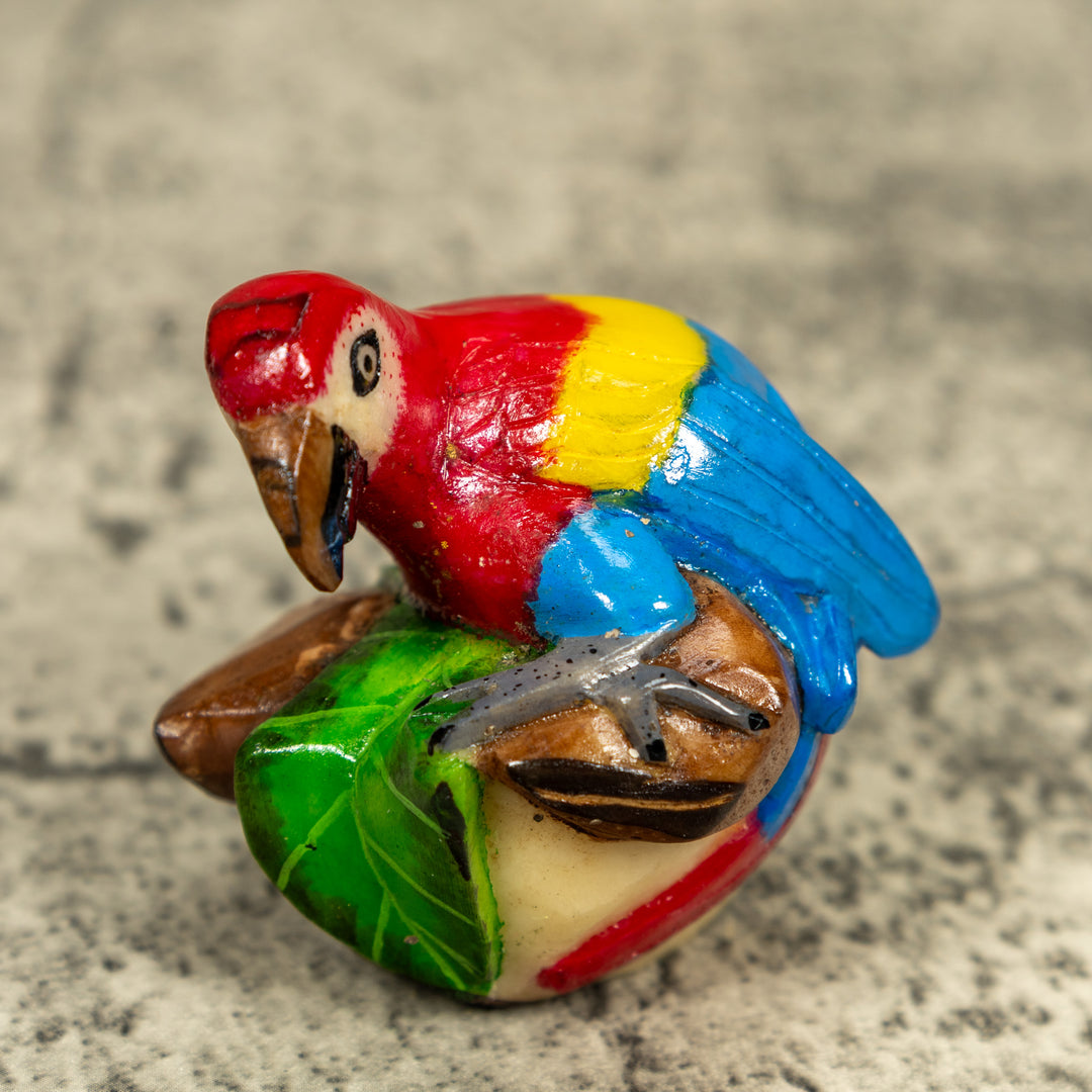 Macaw Parrot Bird Tagua Carving