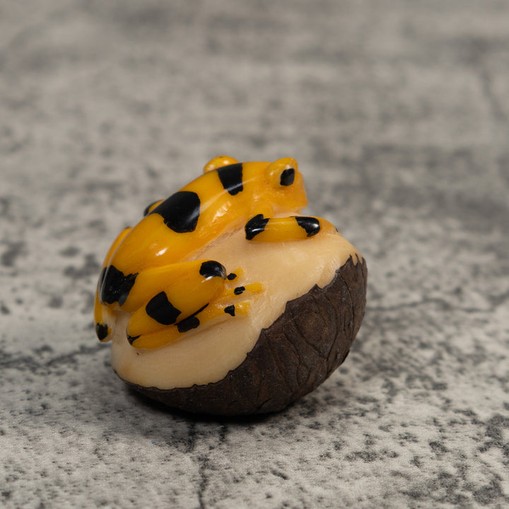 Gold and Black Frog Tagua Carving