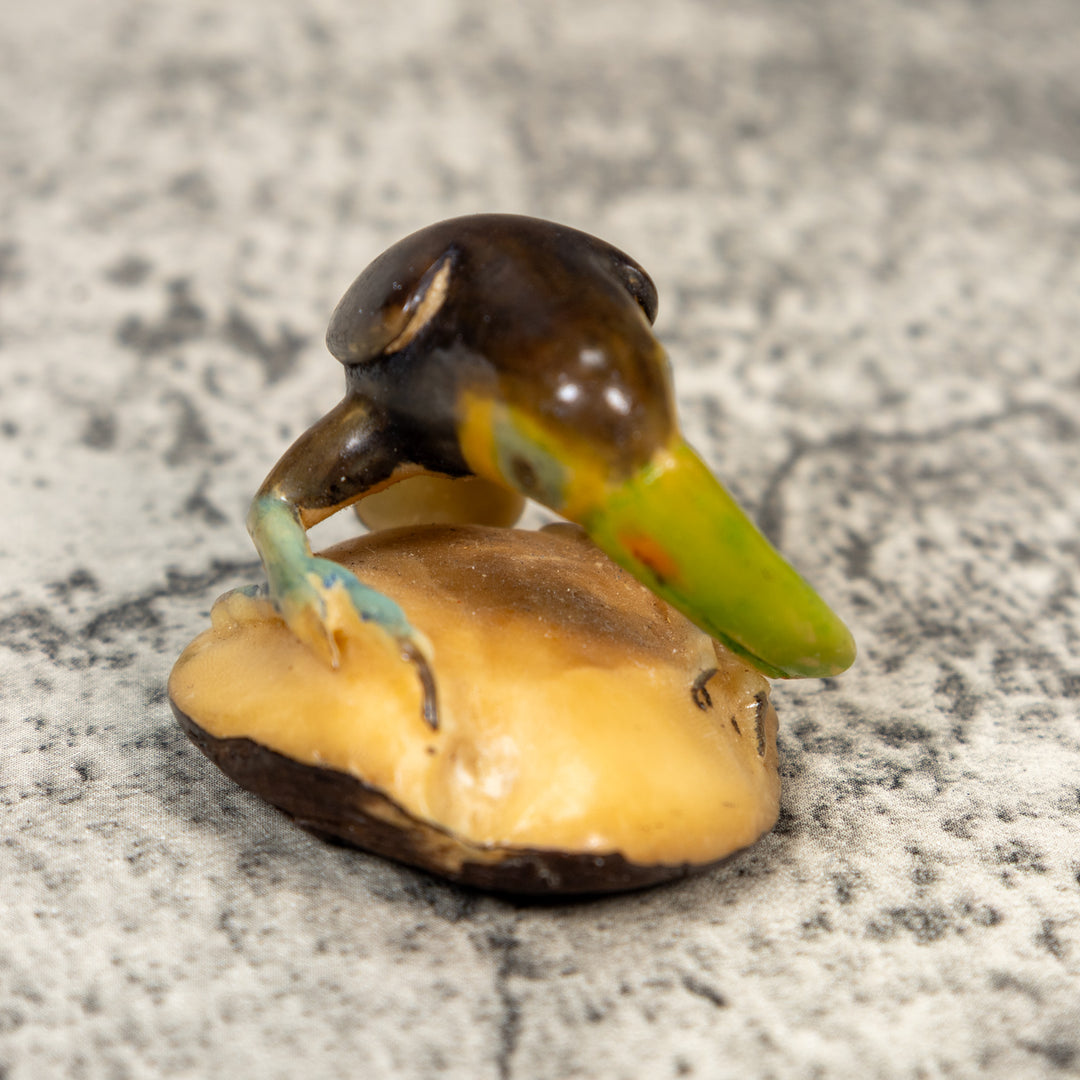 Vintage Toucan Parrot Bird Tagua Carving