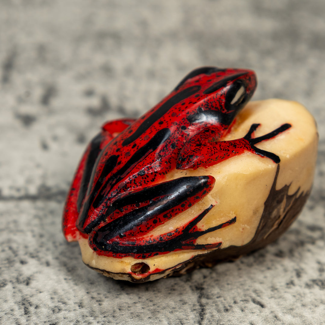 Red And Black Poison Dart Frog Tagua Carving