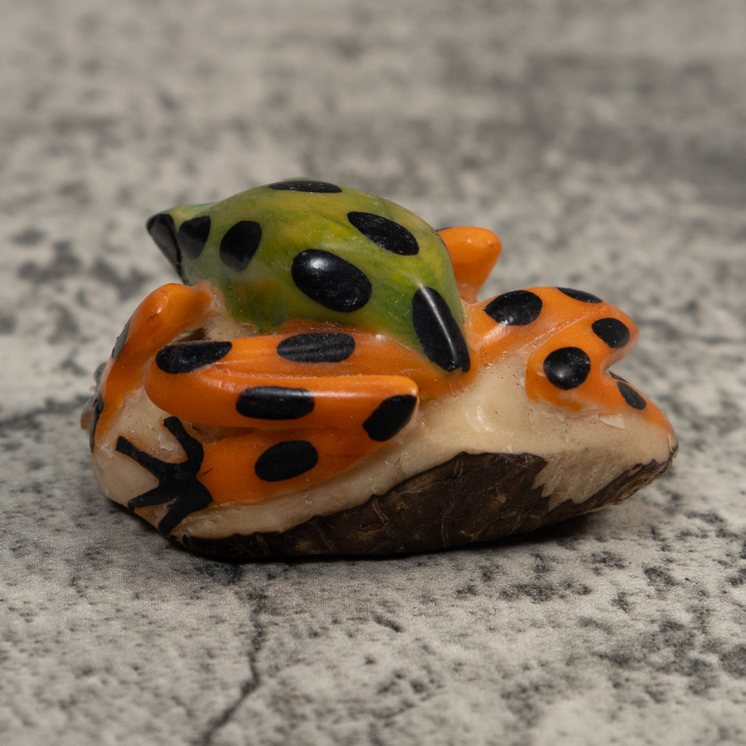 Orange Green And Black Poison Dart  Frog Tagua Carving