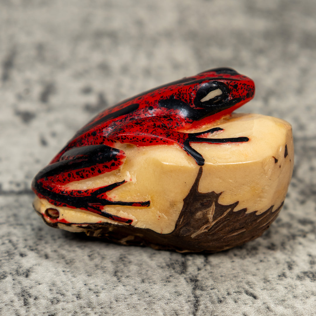 Red And Black Poison Dart Frog Tagua Carving
