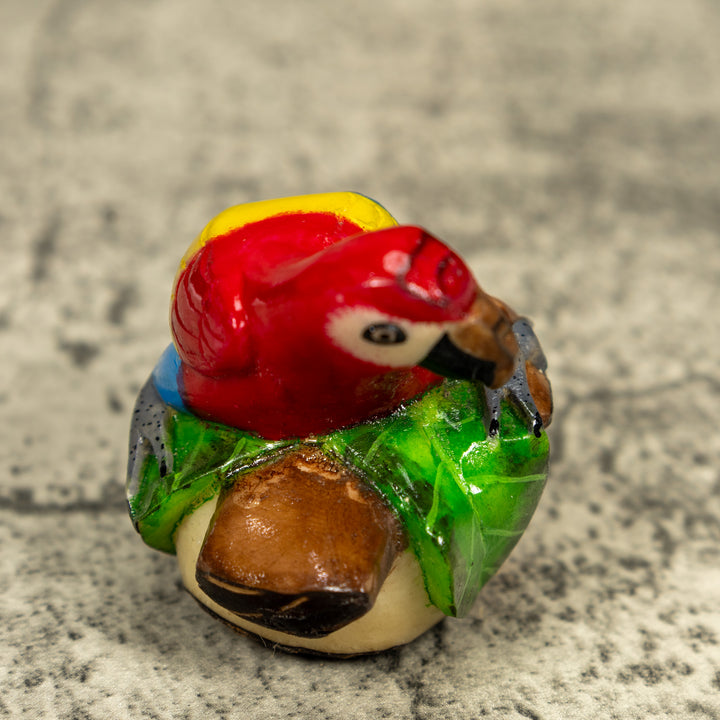 Macaw Parrot Bird Tagua Carving