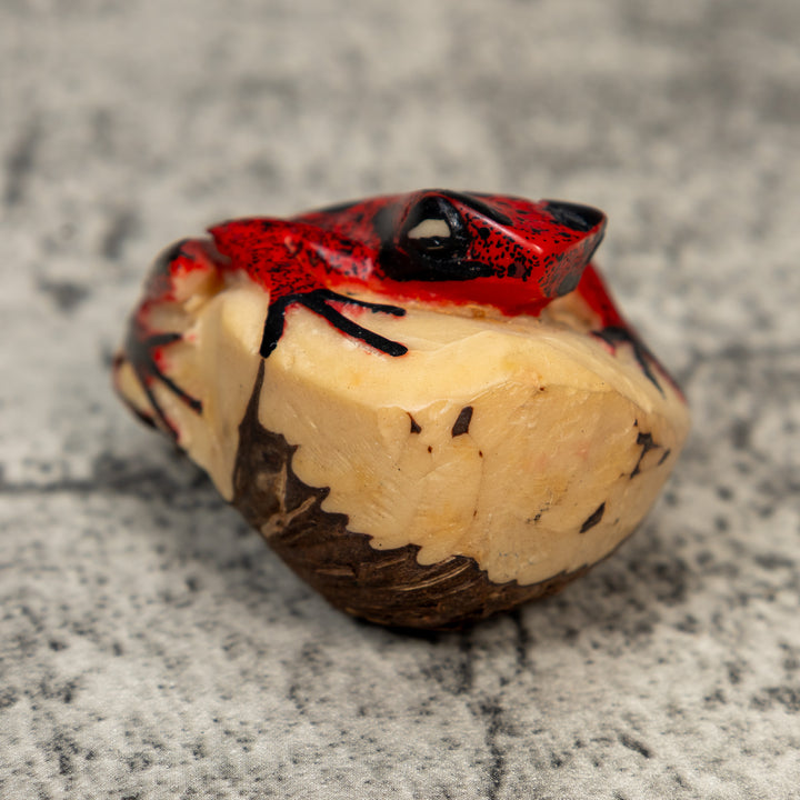 Red And Black Poison Dart Frog Tagua Carving