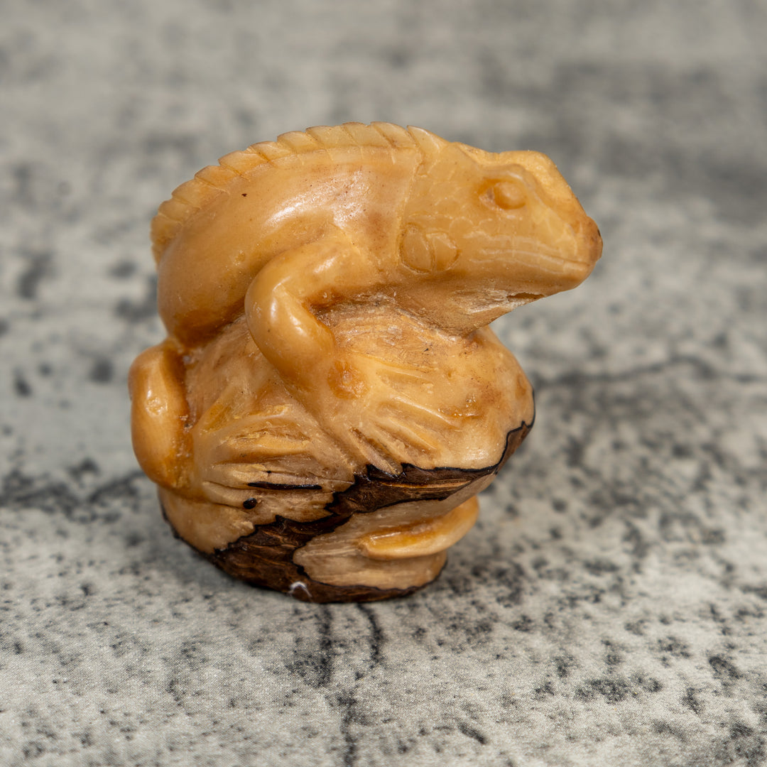 Vintage Dyed Iguana Lizard Tagua Carving