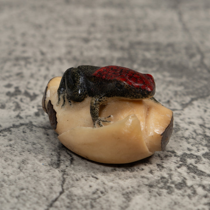 Red and Black Poison Dart Frog Tagua Carving