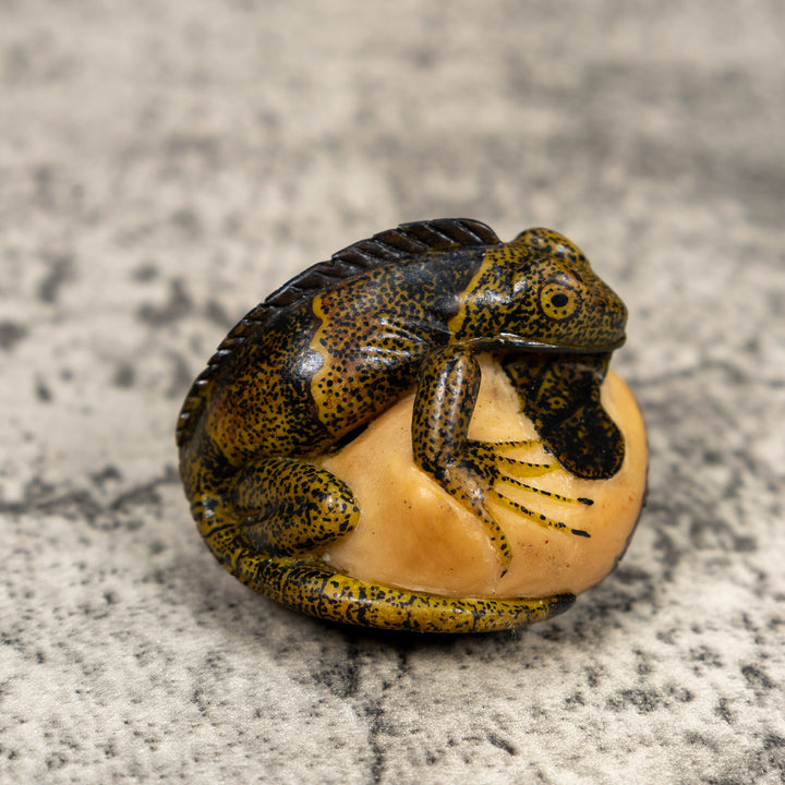 Brown And Black Iguana Lizard Tagua Carving