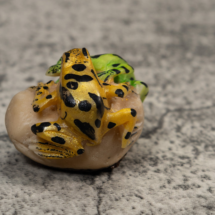Double Gold And Green Frog Tagua Carving