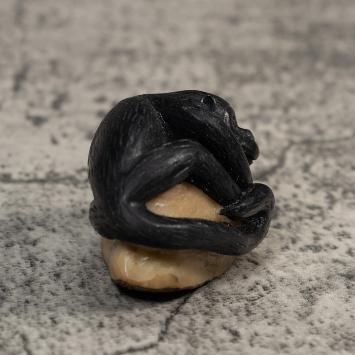 Black Howler Monkey Tagua Carving