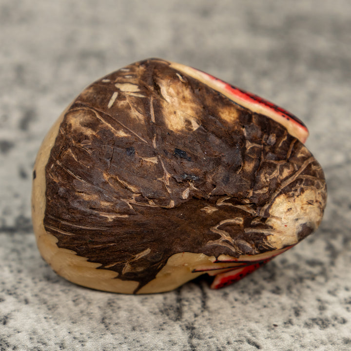 Red And Black Poison Dart Frog Tagua Carving