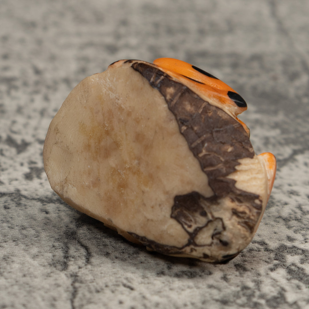 Orange Green And Black Poison Dart  Frog Tagua Carving