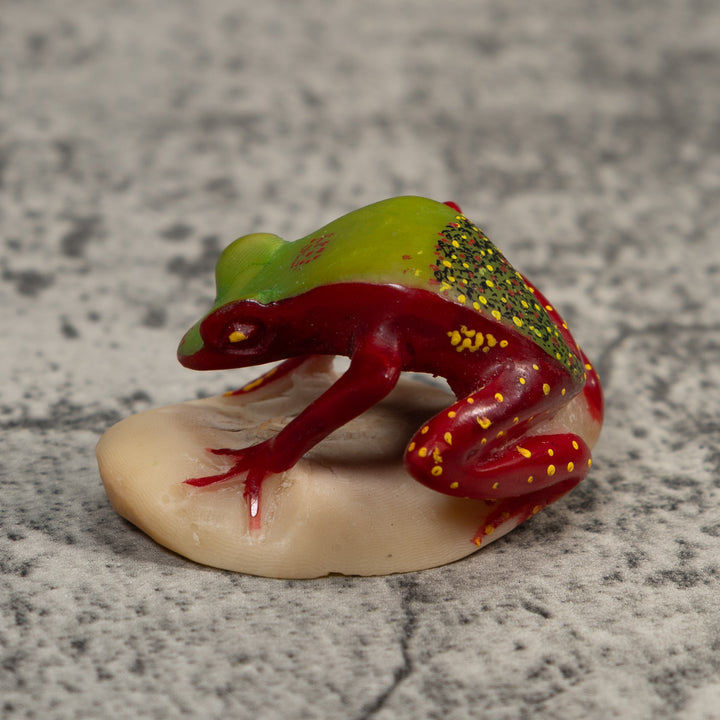 Vintage Green And Red Undercut Poison Dart Frog Tagua Carving