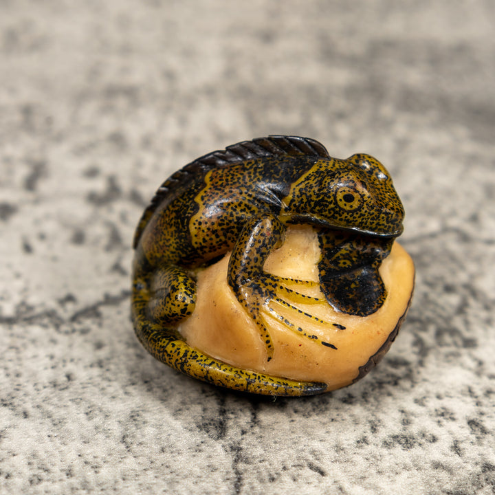 Brown And Black Iguana Lizard Tagua Carving