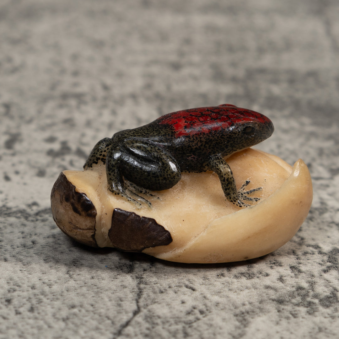 Red and Black Poison Dart Frog Tagua Carving