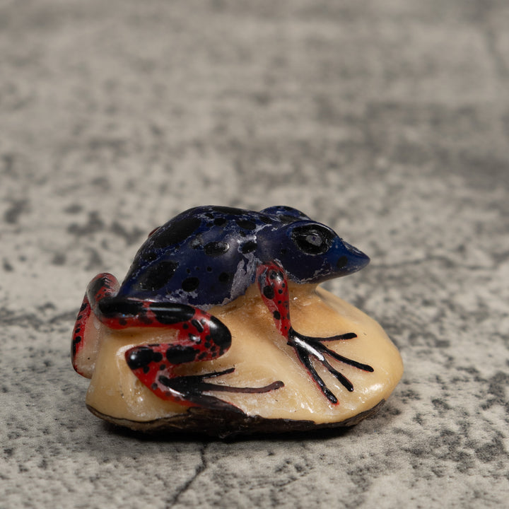 Red And Blue Poison Dart Frog Tagua Carving