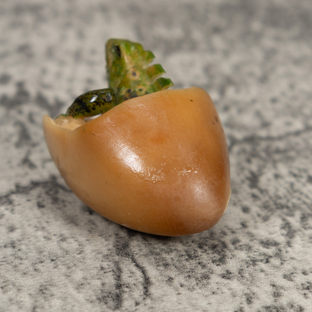 Vintage Iguana Lizard Emering From Egg Tagua Carving