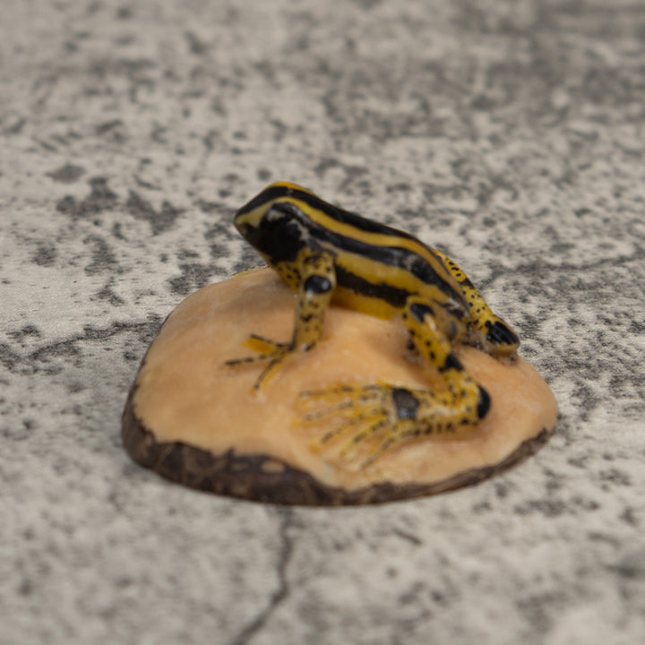 Vintage Black And Yellow Poison Dart Frog Tagua Carving