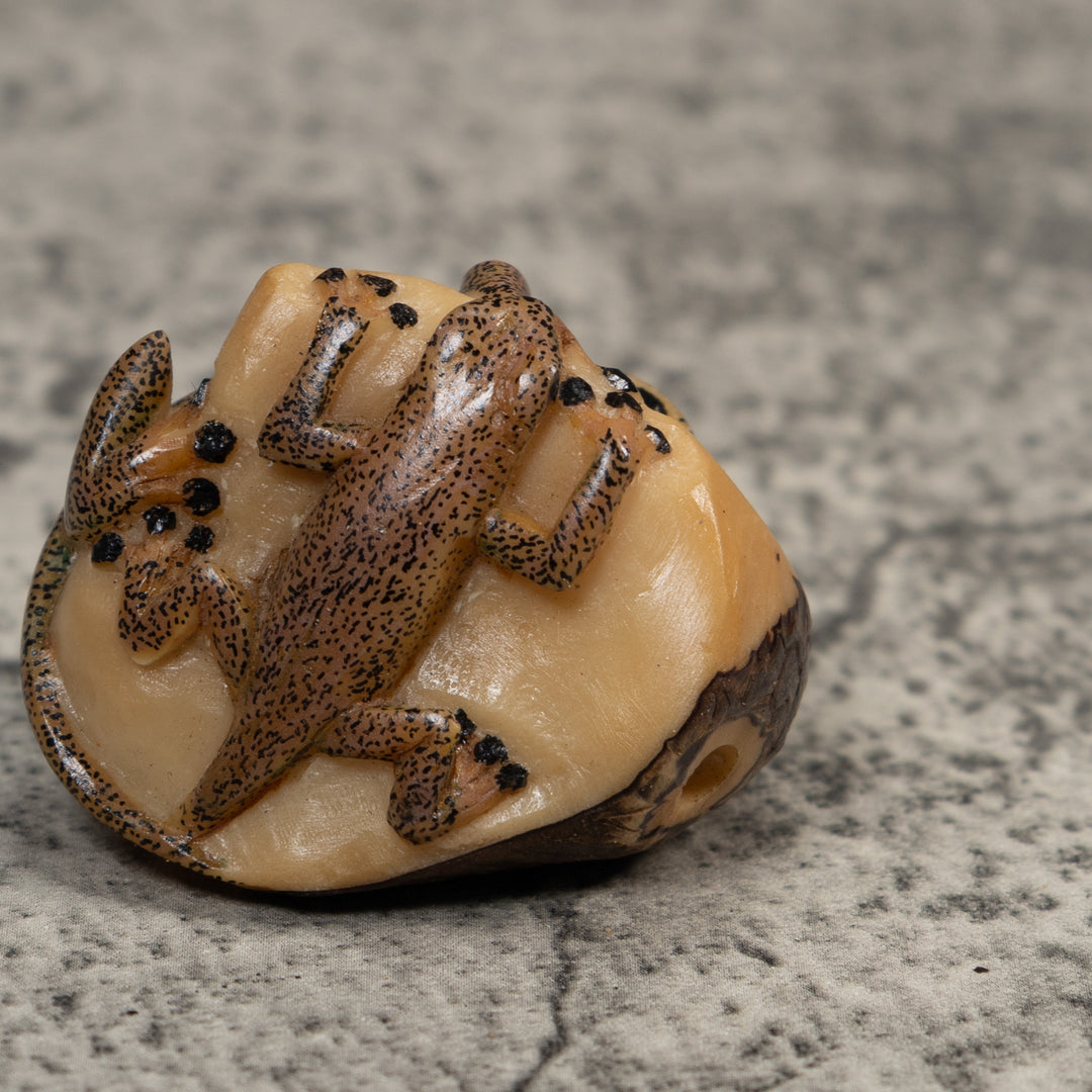 Double Brown Gecko Lizard Tagua Carving