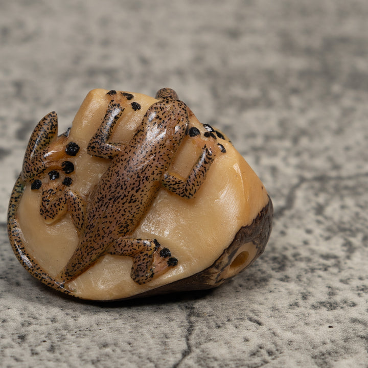 Double Brown Gecko Lizard Tagua Carving