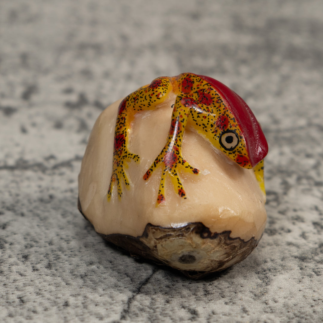 Red And Gold Poison Dart Frog Tagua Carving